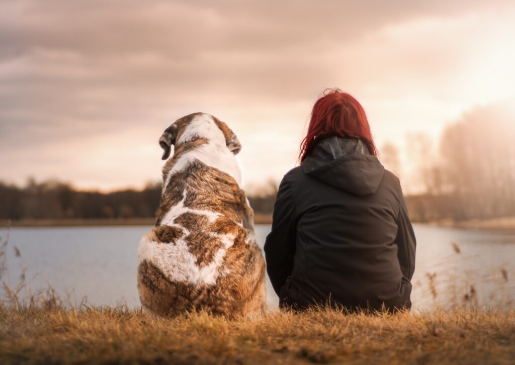 Rückenansicht von Frau und Hund am Ufer sitzend.