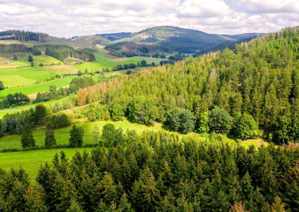 Sonnige Landschaftsaufnahme vom Sauerland